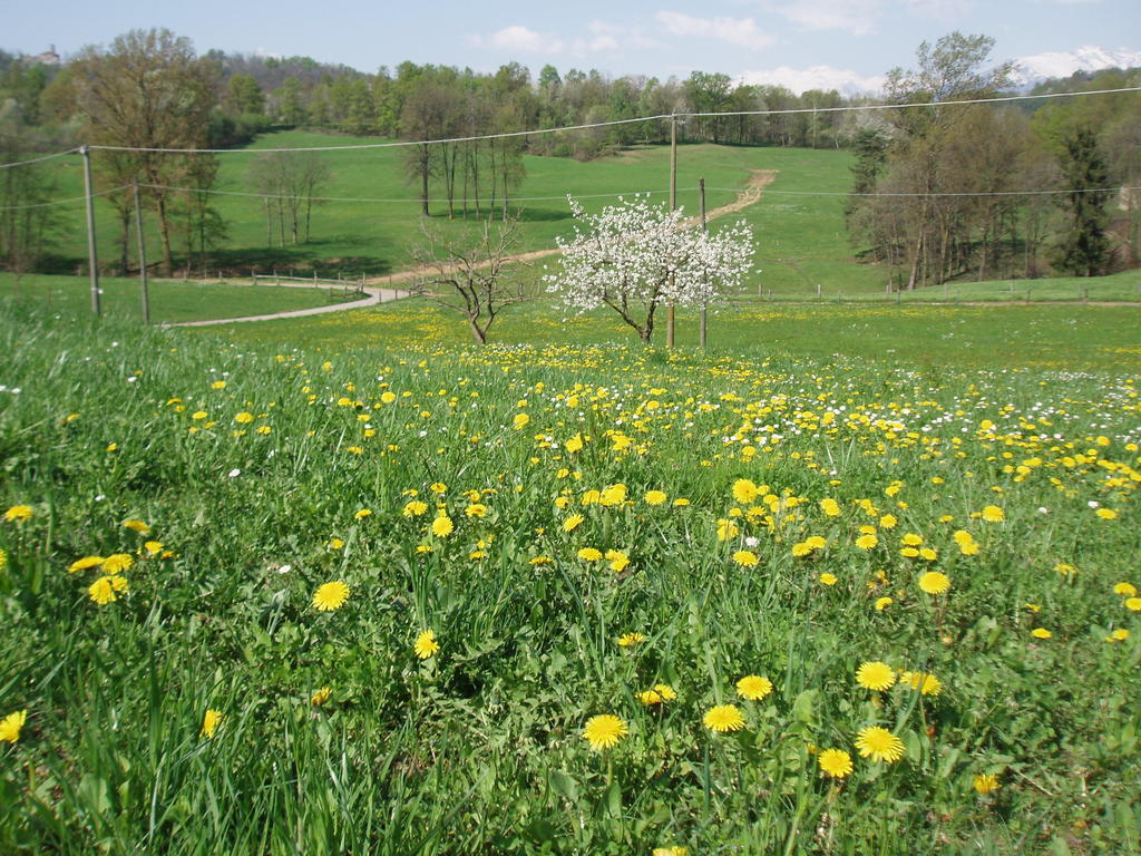 Bed and Breakfast La Pepanella Magnano  Esterno foto